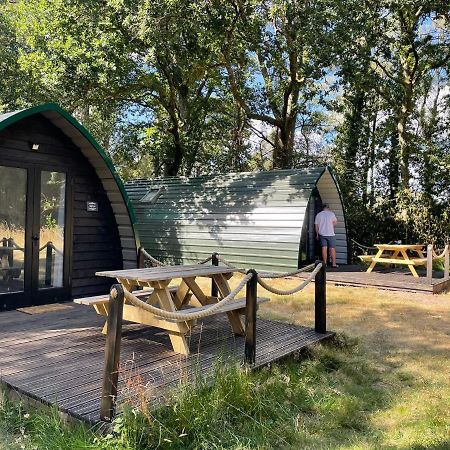 Nightjar Cabin At Cloudshill Glade Wareham Luaran gambar