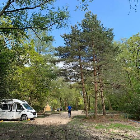 Nightjar Cabin At Cloudshill Glade Wareham Luaran gambar