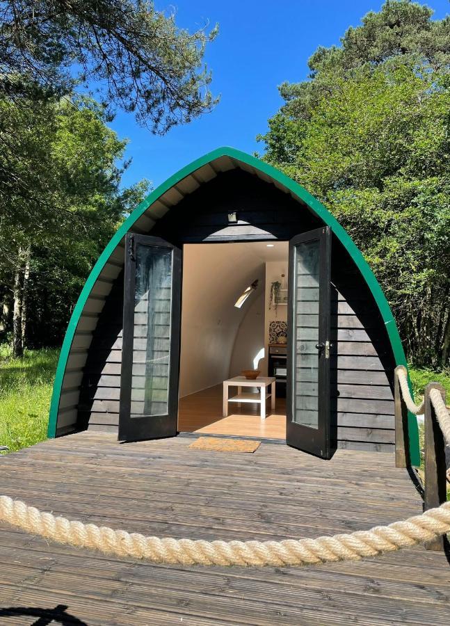 Nightjar Cabin At Cloudshill Glade Wareham Luaran gambar