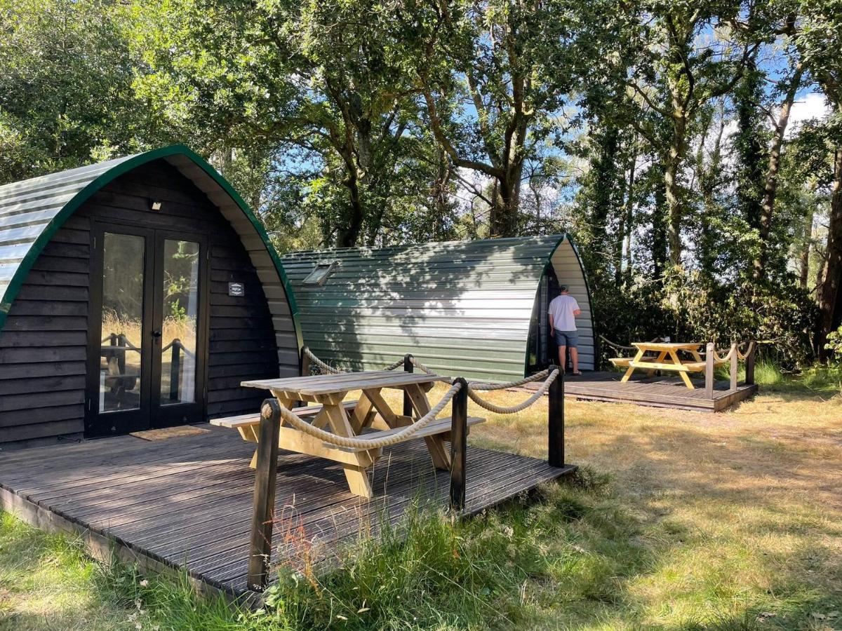 Nightjar Cabin At Cloudshill Glade Wareham Luaran gambar